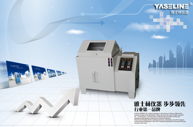 YSL����������