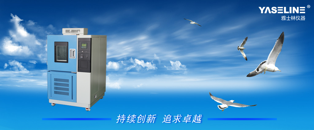 YSL���º�ʪ������