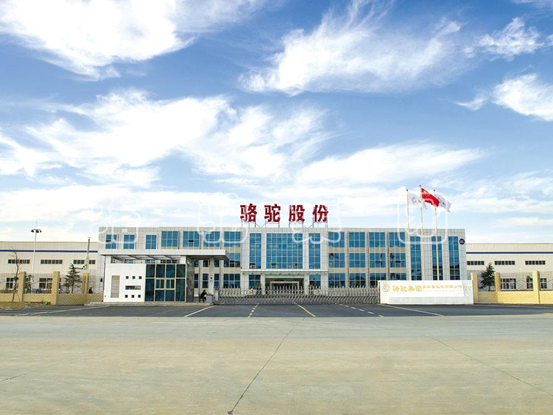 ���ռ���